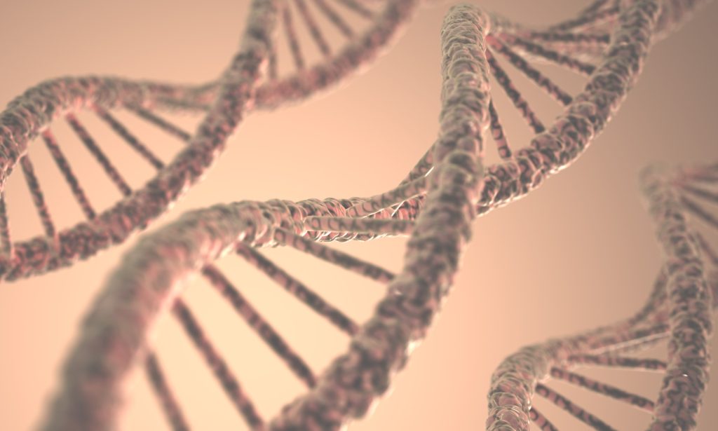 Dna structure