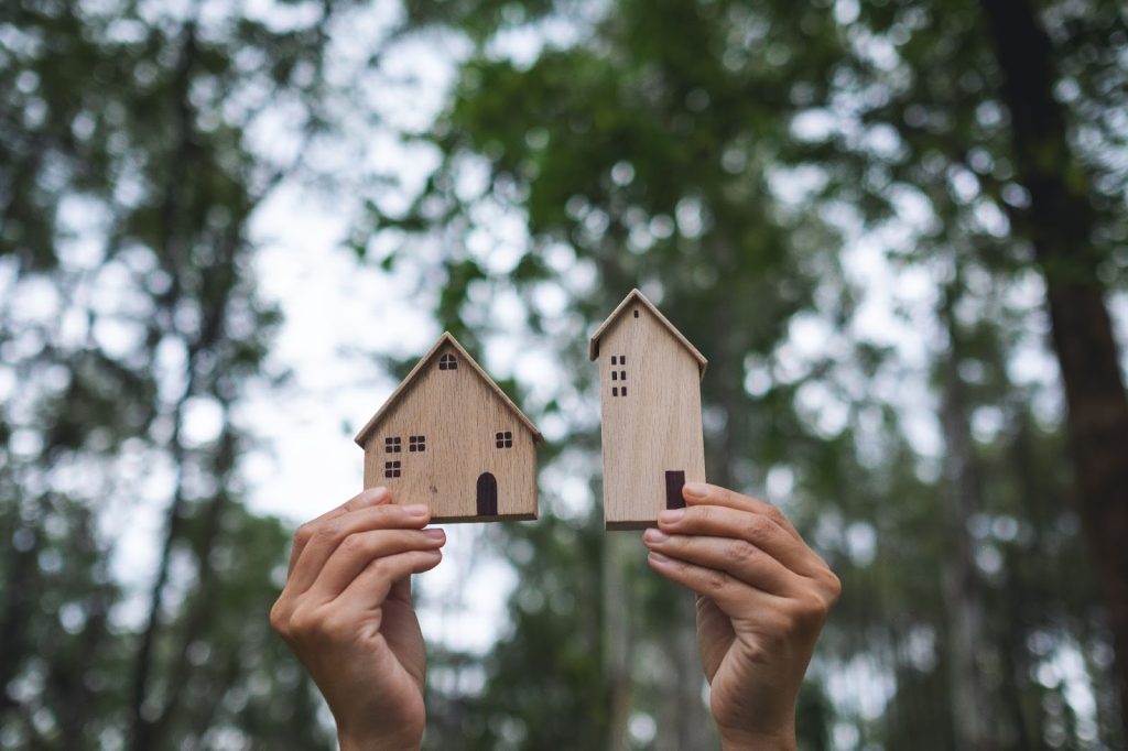 Alt title: Wooden models of housing
Alt text: Hands holding wooden models.