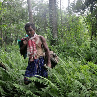 Jadav Payeng in the forest he planted