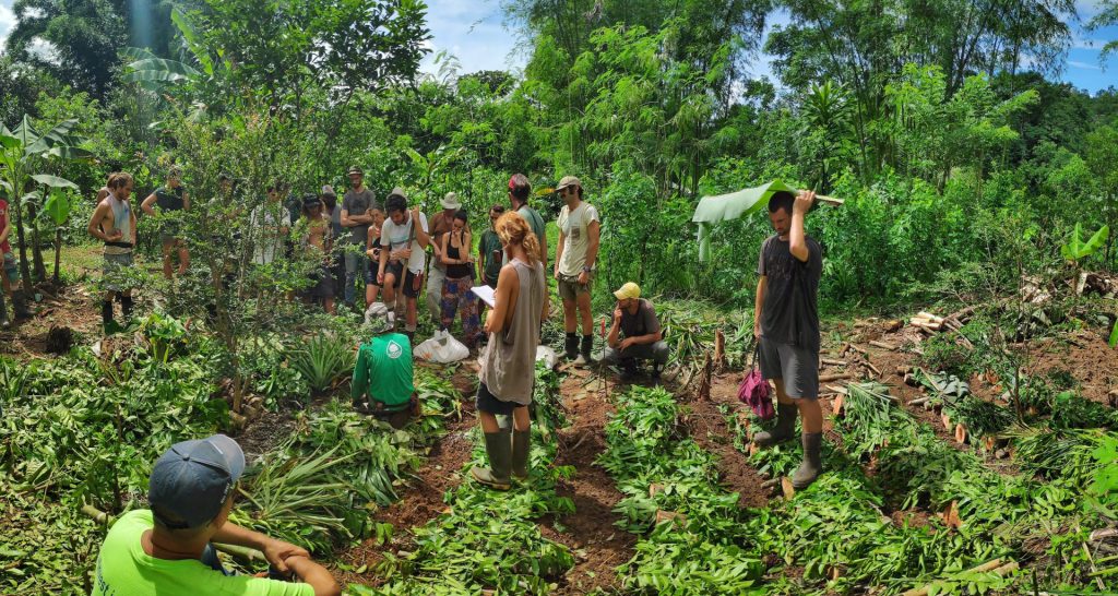 Image title: People working in a food forest
Alt text: A group of people in an area of lush greenery.