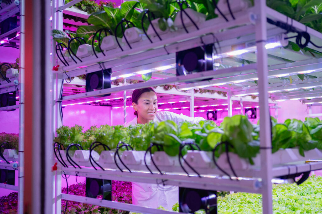 Vertical farming operation