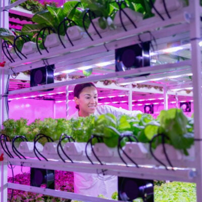 Vertical Farming: How Stacking Crops Is Reshaping Food Production