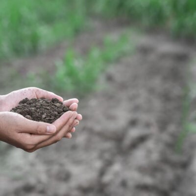 Regenerative Agriculture: Reviving Soil Health for More Nutritious Food